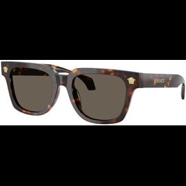 Versace Sonnenbrille Herren Versace VE4510U 108/3