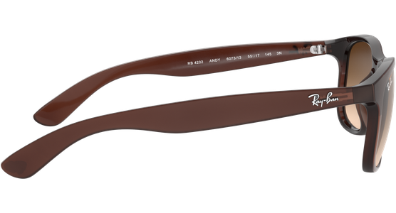 Ray-Ban Andy RB4202 606971 55 - Ansicht 14