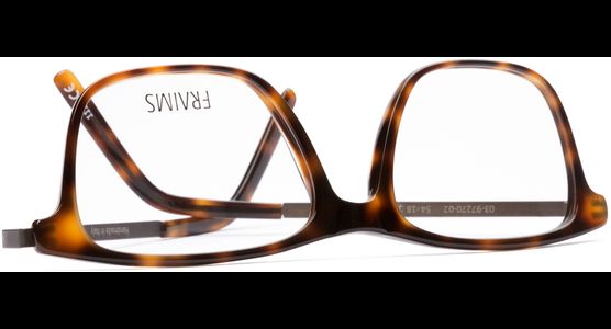 FRAIMS 03-97270-02 Eric, Dunkel Havanna/Braun Matt - Ansicht 7