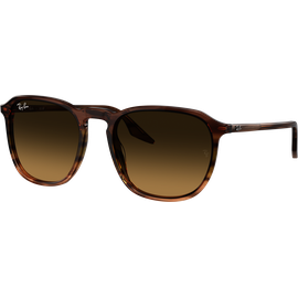 Ray-Ban Sonnenbrille Unisex Ray-Ban RB2203 13920A