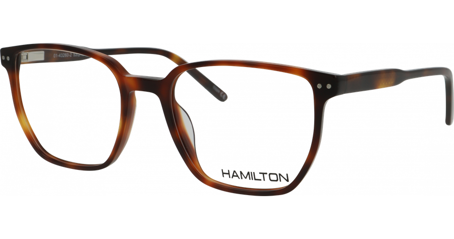 Hamilton Brille Herren Hamilton 01-43260-02 Ansicht 1