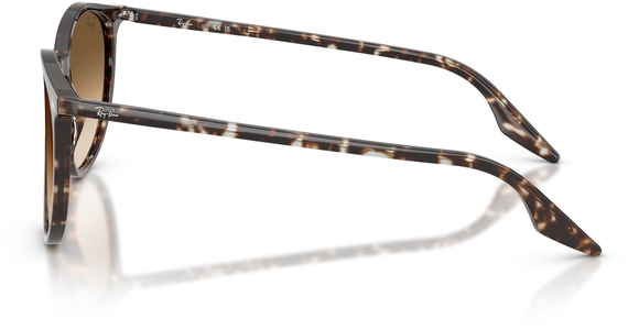 Ray-Ban RB2204 143151 - Ansicht 4