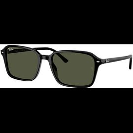  Ray-Ban 0RB2231 901/31