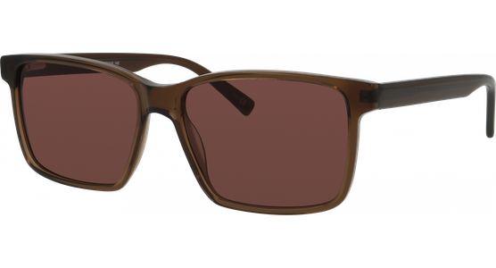 meineBrille 14-36090-01 Braun glänzend - Ansicht 2