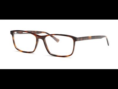FRAIMS Brille Herren FRAIMS 03-97070-03 Phil, Havanna Ansicht 3