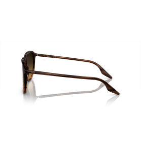 Ray-Ban RB2203 13920A - Ansicht 4