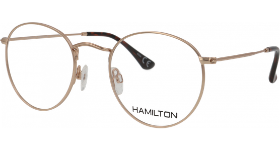 Hamilton 01-20070-01 5021 - Ansicht 2