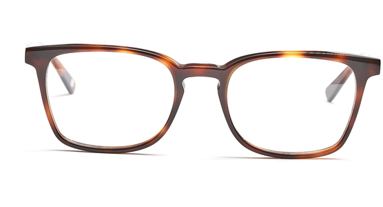 FRAIMS 03-97060-03 Paul, Dunkel Havanna - Ansicht 3