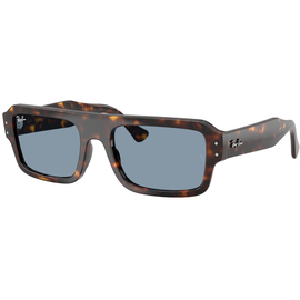  Ray-Ban RB4454 902/56