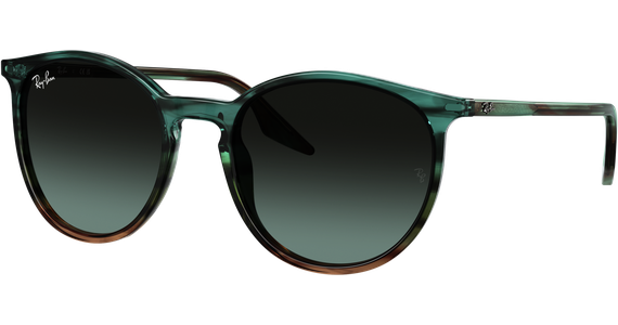 Ray-Ban RB2204 1394GK - Ansicht 2