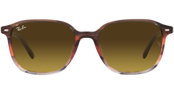 Ray-Ban Leonard RB2193 138085 - Ansicht 13