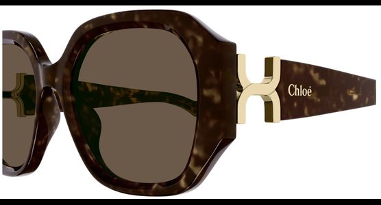 Chloé CH0236S 56 002 - Ansicht 4