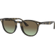 Ray-Ban RB4259 731/E8 51