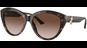 Jimmy Choo JC5007 500213 55