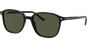 Ray-Ban Leonard RB2193 901/31 53
