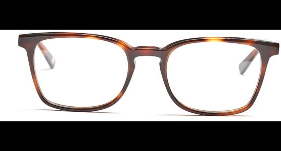 FRAIMS 03-97060-03 Paul, Dunkel Havanna - Ansicht 3