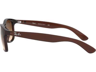 Ray-Ban Sonnenbrille Herren Ray-Ban Andy RB4202 606971 55 Ansicht 4