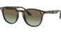 Ray-Ban RB4259 731/E8 51
