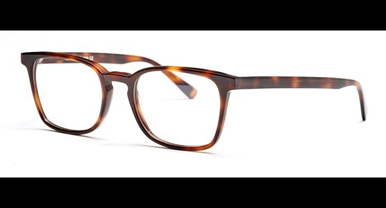 FRAIMS 03-97060-03 Paul, Dunkel Havanna - Ansicht 2