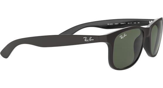 Ray-Ban Andy RB4202 606971 55 - Ansicht 15