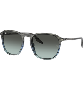 Ray-Ban RB2203 1391GK - Ansicht 2