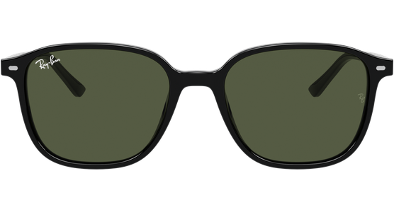 Ray-Ban Leonard RB2193 901/31 53 - Ansicht 13