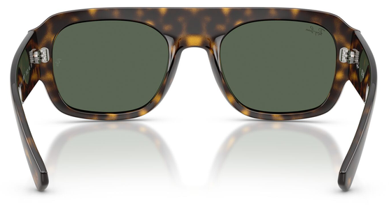 Ray-Ban RB2218 679071 - Ansicht 5