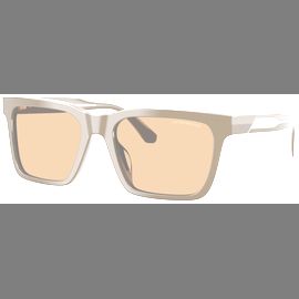 Emporio Armani Sonnenbrille Herren Emporio Armani EA4262U 630773