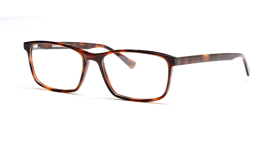 FRAIMS 03-97070-03 Phil, Havanna - Ansicht 2