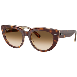  Ray-Ban 0RB2286 141451