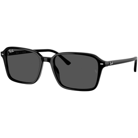  Ray-Ban 0RB2231 901/31