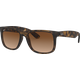 Ray-Ban Justin Classic RB4165 710/13 51