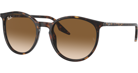 Ray-Ban 0RB2204 902/51 - Ansicht 2