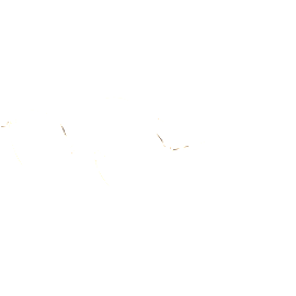 Hugo Boss Brille Damen Hugo Boss 1530 50 0