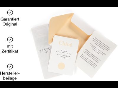 Chloé Sonnenbrille Damen Chloé CH0280S 57 Schwarz Ansicht 4