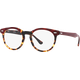 Ray-Ban RX5598 8250