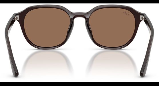 Ray-Ban RB4459D 623173 - Ansicht 5